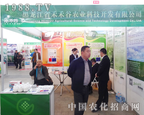 �̺̹��\(ch��ng)�Ņ���2014�����(y��ng)���ϕ�(hu��)