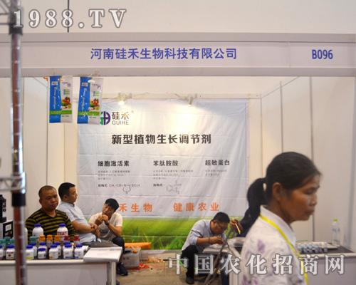 ���Ϲ��������2015�ό��r(n��ng)�Y��(hu��)���H�ܺ��u(p��ng)