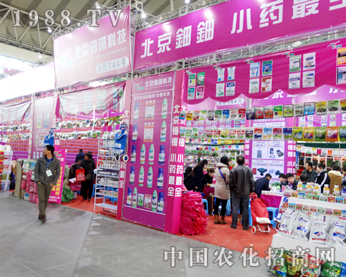 ��������2015�����I�N���p��������עĿ