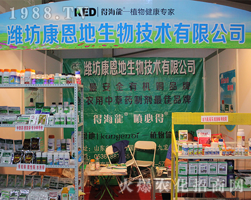 �H�����������＼�g(sh��)