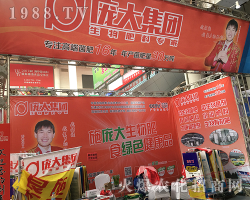 龐大集團(tuán)亮相