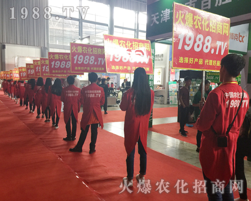  2017昆明農(nóng)資會，1988.TV活力表現(xiàn)引人關(guān)注！