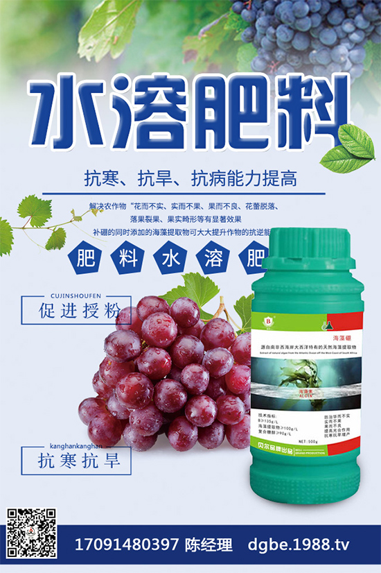 甘藍(lán)黑斑病危害這么大，到底該如何防治？快來(lái)看看吧！