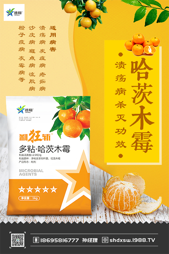 甘藍(lán)黑斑病危害這么大，到底該如何防治？快來(lái)看看吧！