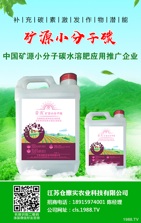 馬鈴薯爆發(fā)晚疫病怎么辦？馬鈴薯晚疫病防治方法！