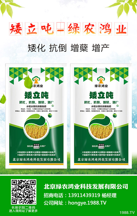 蒜苗的種植方法有哪些，如何才能獲得高產(chǎn)？