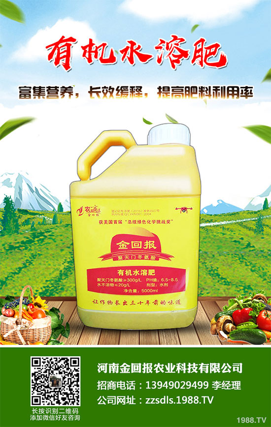 十月份蔬菜該怎么管理？2019年10月蔬菜種植管理指南