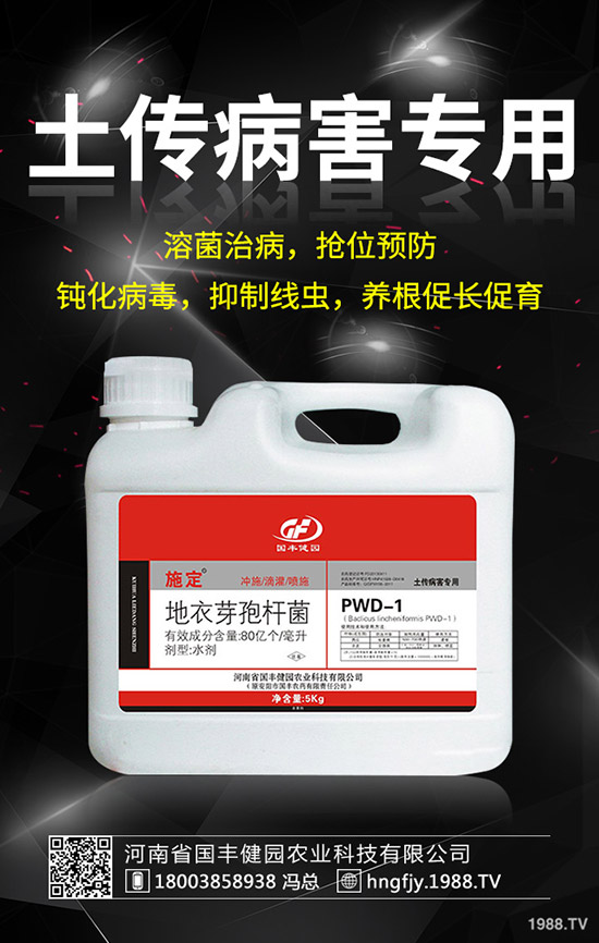 小麥除草劑什么時候打好，小麥打除草劑的時間及注意事項(xiàng)！