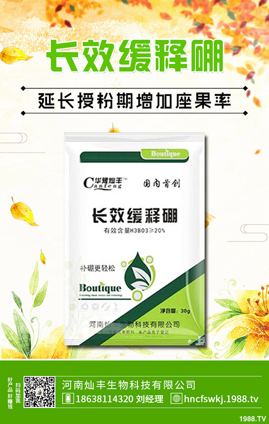 金錢草和銅錢草有什么不同？金錢草和銅錢草的區(qū)別哪些？