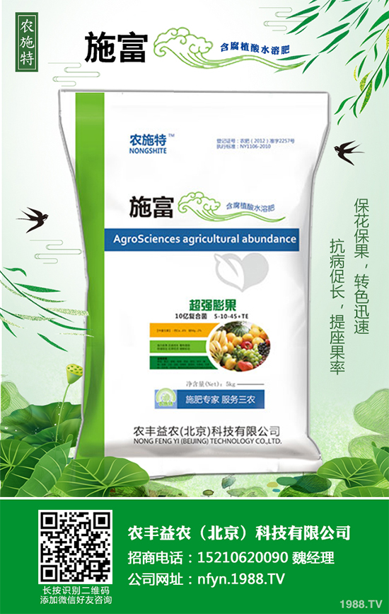 香蔥該如何栽培？秋茬香蔥高產(chǎn)技術(shù)要點(diǎn)