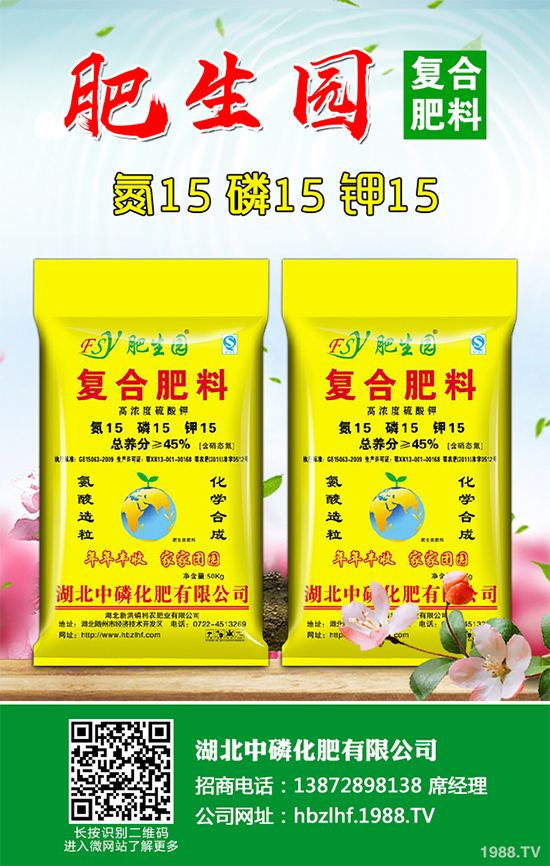 香菜如何施肥產(chǎn)量更高？秋茬香蔥高產(chǎn)施肥方案