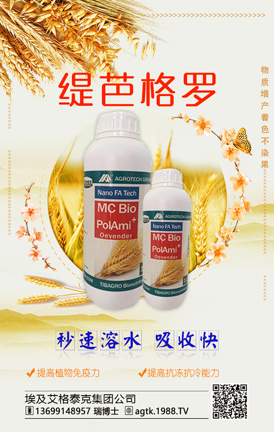 ��������̩�˼��F��˾