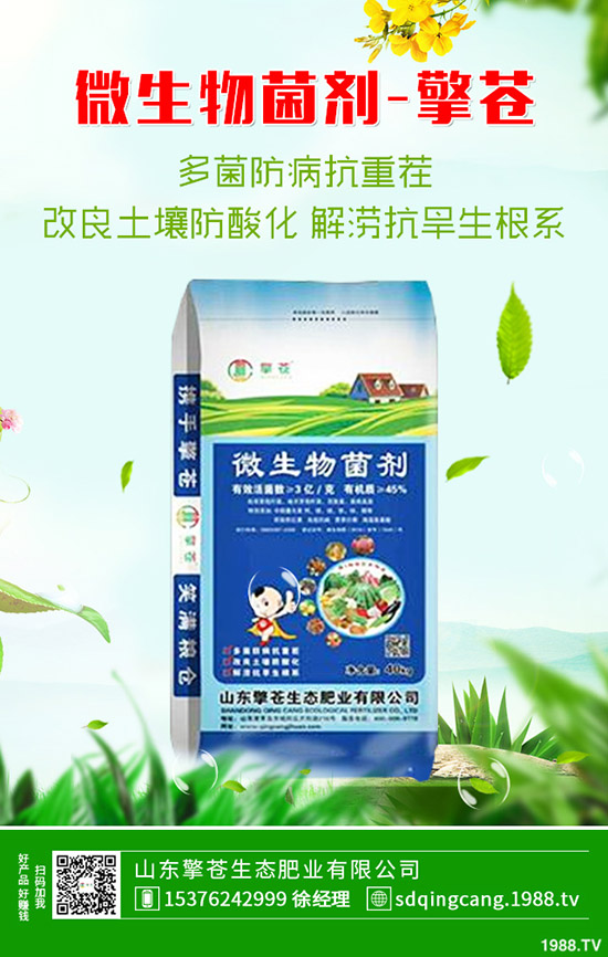     尿素價(jià)格連續(xù)下跌！近期尿素行情走勢(shì)分析2019-10-17