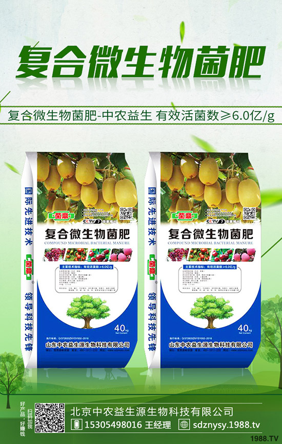     復合肥冬儲啟動緩慢！今日最新復合肥市場價格快訊2019-10-19