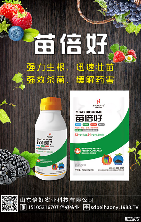 ����ʲô�r(sh��)��Nֲ������ʲô�r(sh��)�������