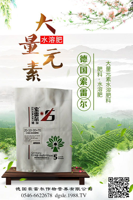 吃甘蔗有什么好處？甘蔗的營養(yǎng)價值及食用禁忌！