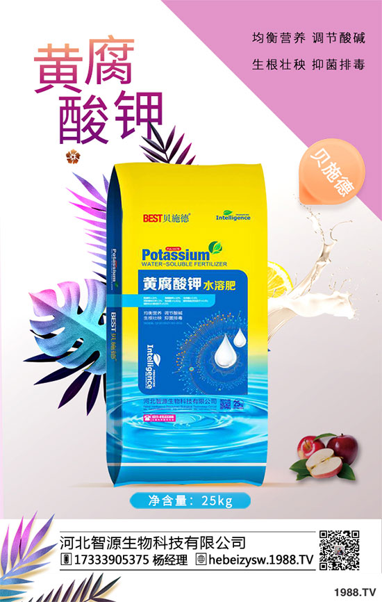 八月炸怎樣種植？八月瓜栽培技術(shù)！