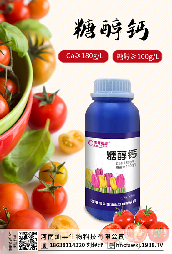 甘藍(lán)立枯病來(lái)襲，到底該如何防治？甘藍(lán)立枯病防治措施