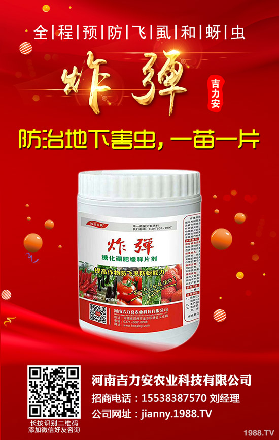 芹菜的功效與作用，哪些人不能吃芹菜？