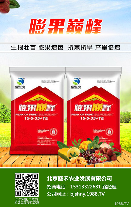 �²˵ķNֲ�r(sh��)�g��ʲô�r(sh��)�����²˵ķNֲҪ�c(di��n)���˽����