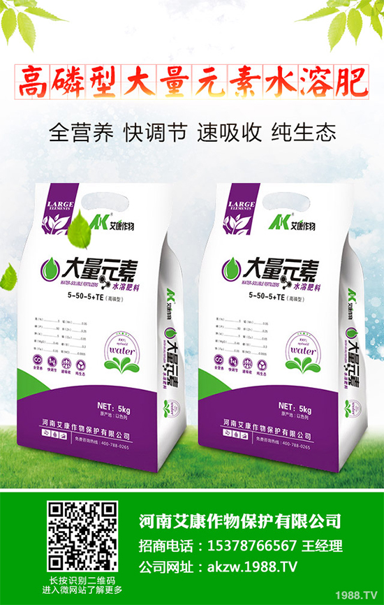 鹽堿地能種植棉花嗎？鹽堿地植棉高產(chǎn)技術(shù)