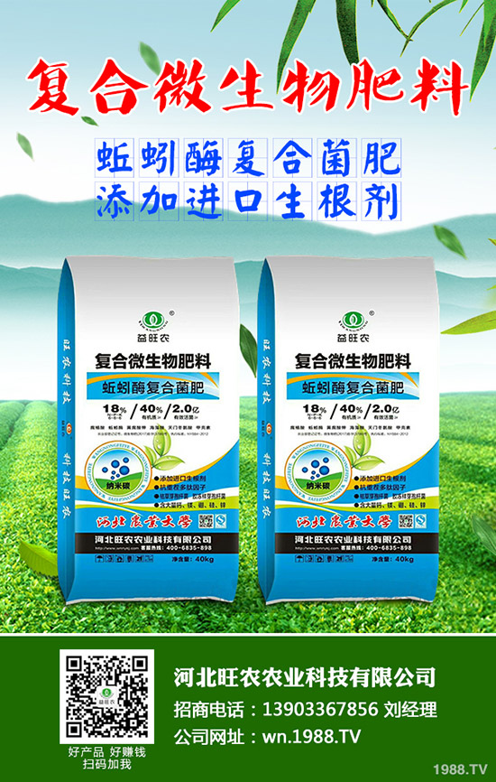 吃菠蘿蜜有什么好處，菠蘿蜜的功效與作用有哪些？