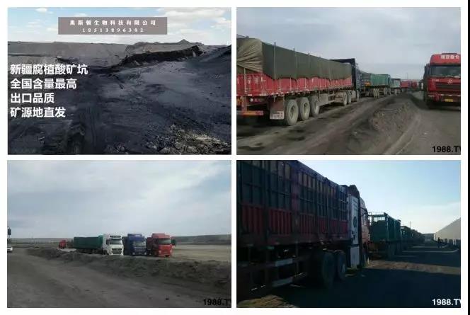 礦源黃腐酸鉀——精品肥！1公斤=8噸有機(jī)肥！新疆源頭直發(fā)?。?！