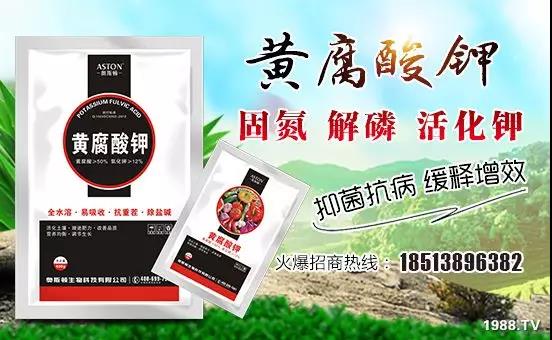 礦源黃腐酸鉀——精品肥！1公斤=8噸有機(jī)肥！新疆源頭直發(fā)?。?！