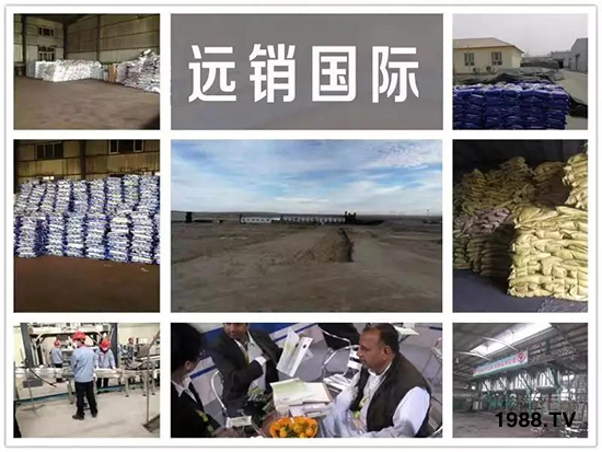 礦源黃腐酸鉀——精品肥！1公斤=8噸有機(jī)肥！新疆源頭直發(fā)！??！