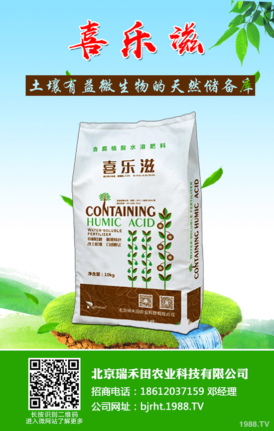 怎樣才能種好豆角呢？豆角的種植管理技巧！