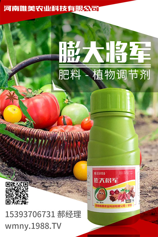 吃西柚有什么好處？挑選西柚的小技巧！