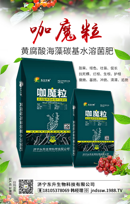 大棚草莓旺長的原因，大棚草莓旺長解決措施