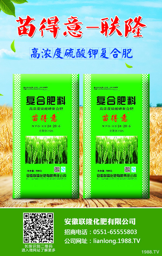 吃牛蒡?qū)ι眢w有什么好處？牛蒡的營養(yǎng)價值及功效!