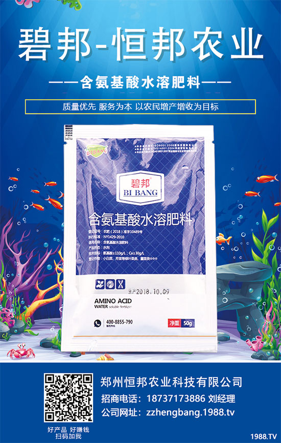 秋菠菜種植如何提高發(fā)芽率？提高菠菜發(fā)芽率措施！