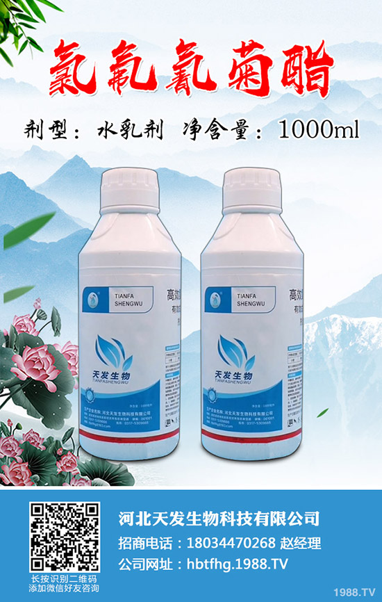 小麥吸漿蟲危害有多大？小麥吸漿蟲防控技術(shù)！