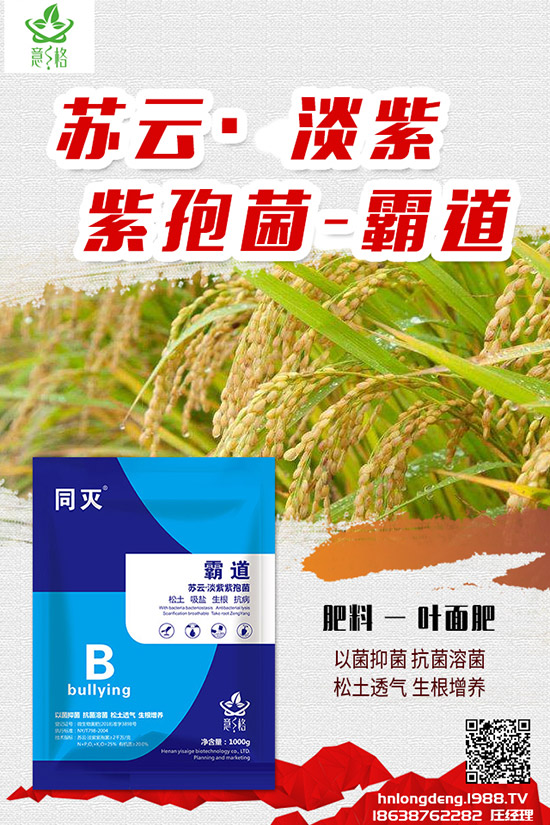 如何種植盆栽玫瑰，盆栽玫瑰的種植方法和注意事項(xiàng)！