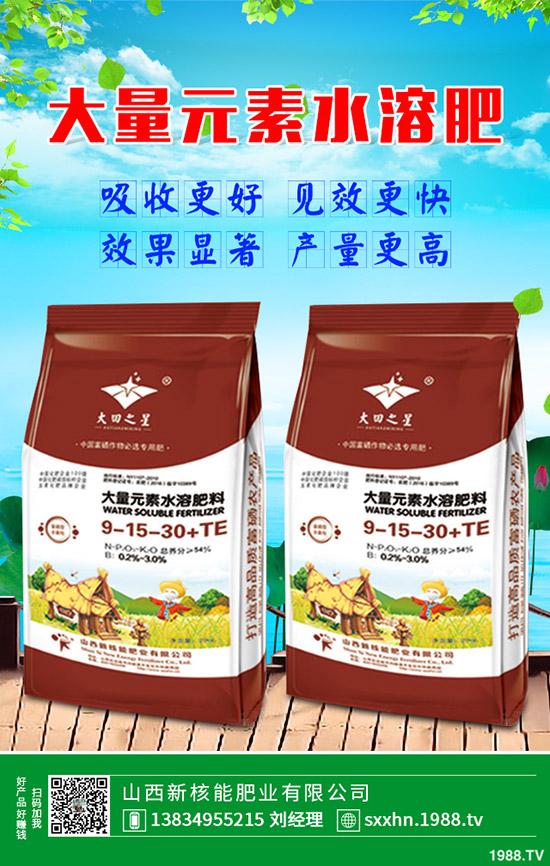 蒲公英種植盈利方式，一畝蒲公英經(jīng)濟(jì)效益怎樣？2020有種植前景么？