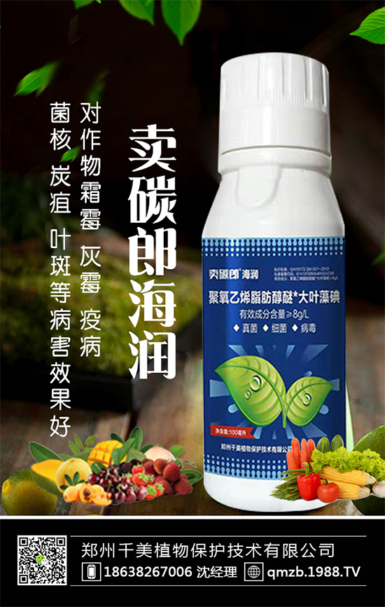 蘆筍什么季節(jié)種植？蘆筍常見病蟲害及防治！