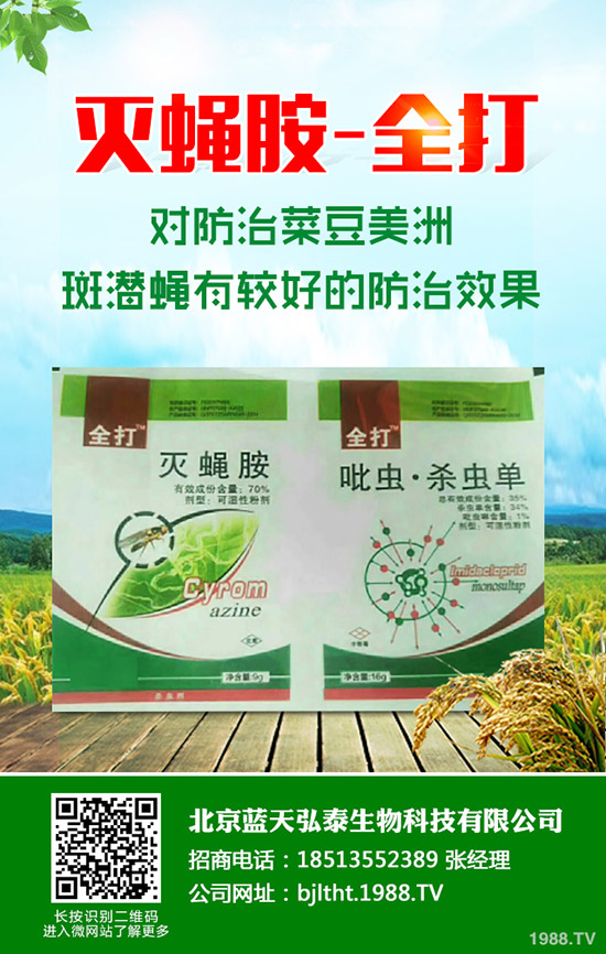 ��(ji��)���Ƕ��φ�����(ji��)����ηNֲ���������@Щ����(hu��)��æ����