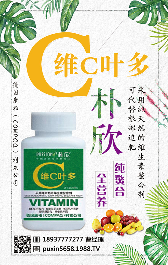 �����أ�COMPAQ�����r(n��ng)��˾