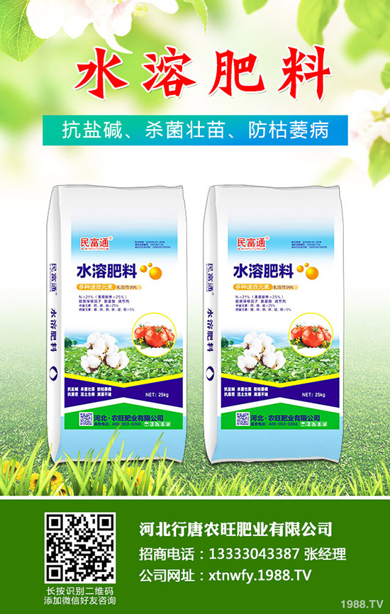 苦瓜得了白粉病怎么辦，苦瓜白粉病綜合防治