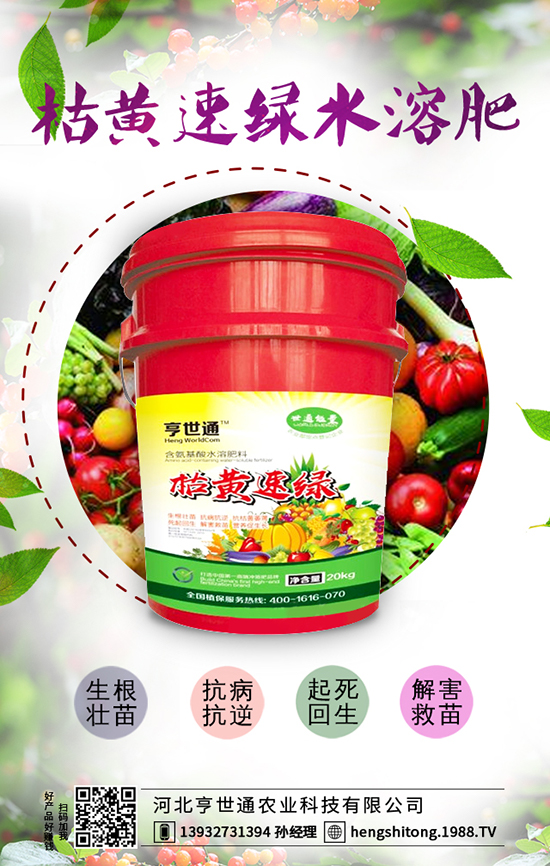 �ӱ�����ͨ�r(n��ng)�I(y��)�Ƽ����޹�˾