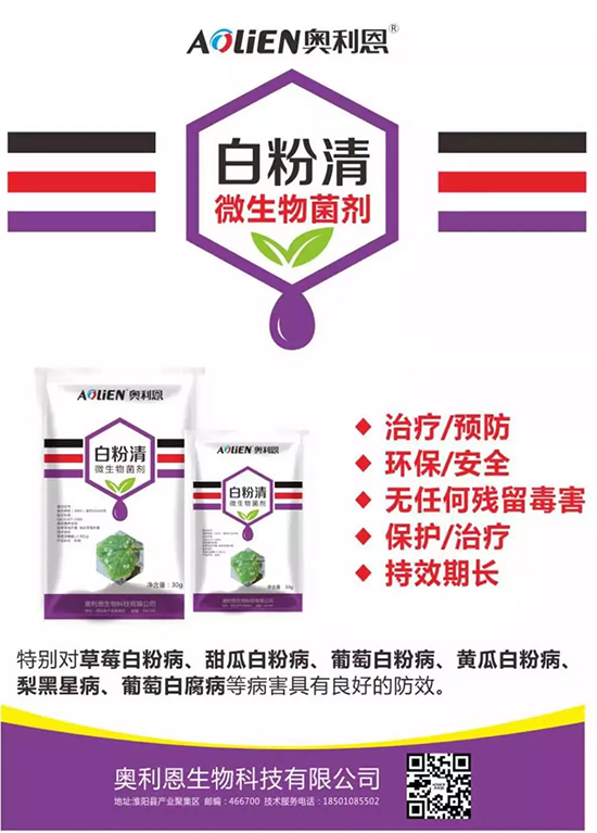 白粉病“反復(fù)難纏”？ 記住這個藥，高效防治白粉病，鏟除！