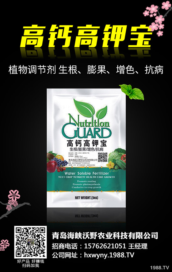 油葵種植前需要準備哪些工作，油葵種植技巧有哪些？