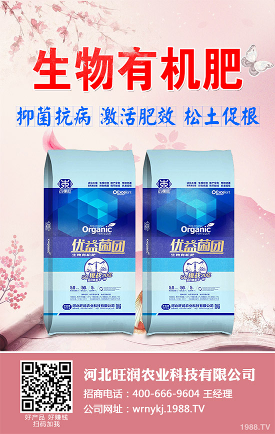 大棚韭菜該怎么種？冬季大棚韭菜種植技術(shù)要點(diǎn)