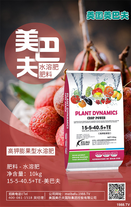 芽苗菜種植前景如何？芽苗菜的種植方法！