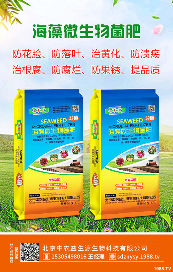     2020年春節(jié)鮮姜價格預(yù)計“暴漲”！多少錢一斤？生姜漲價原因分析！