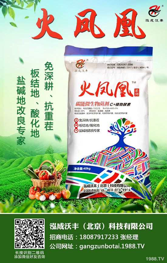     2020年種植生姜賺錢么？前景怎樣？一畝生姜投資及效益分析！