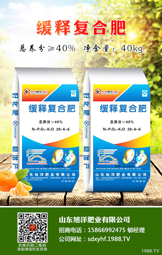 貢菊、杭白菊和胎菊有哪些不同之處？產(chǎn)地在哪？快來看看吧！