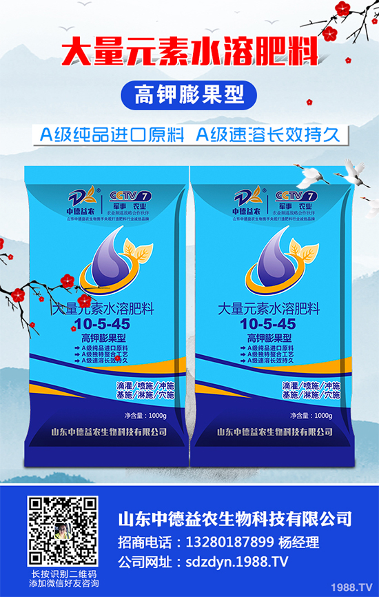 貢菊、杭白菊和胎菊有哪些不同之處？產(chǎn)地在哪？快來看看吧！